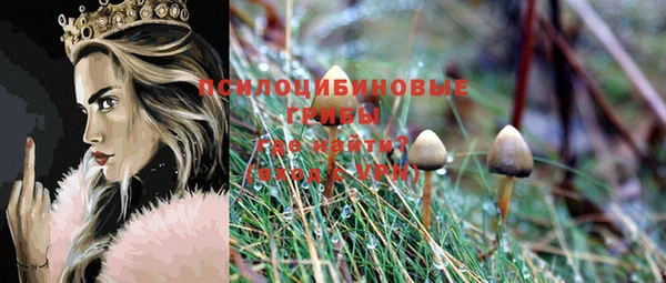 мдма Пролетарск