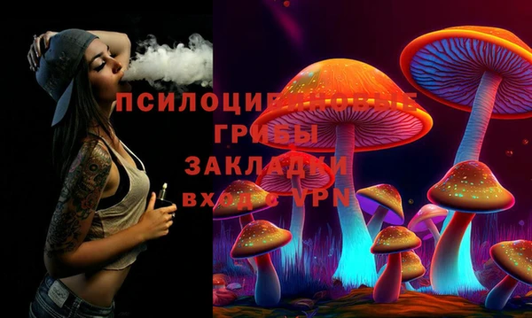 ALPHA PVP Покров