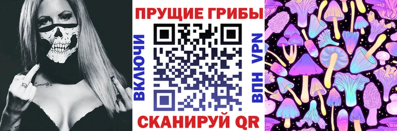 Галлюциногенные грибы GOLDEN TEACHER  Апшеронск 