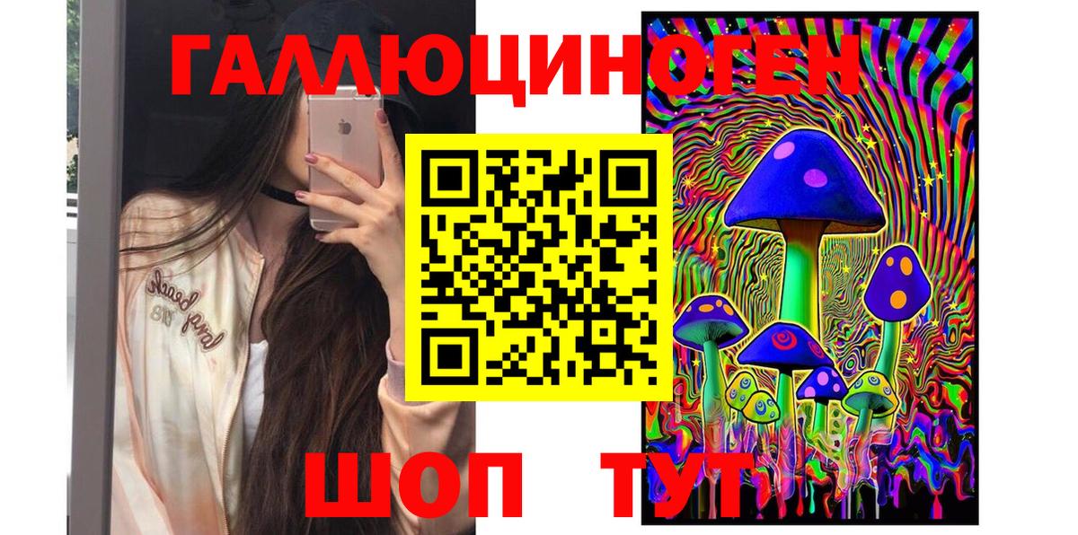 Галлюциногенные грибы Psilocybe Апшеронск