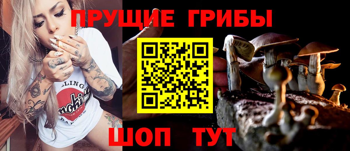 Галлюциногенные грибы GOLDEN TEACHER Апшеронск